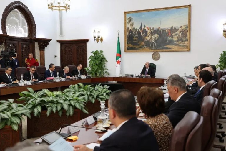 تعزيز التوازن التنموي: برامج تكميلية واستثمارات في الولايات الجديدة