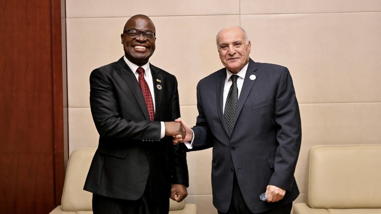 محادثات جزائرية زيمبابوية لتعزيز التعاون الثنائي والتنسيق الإفريقي