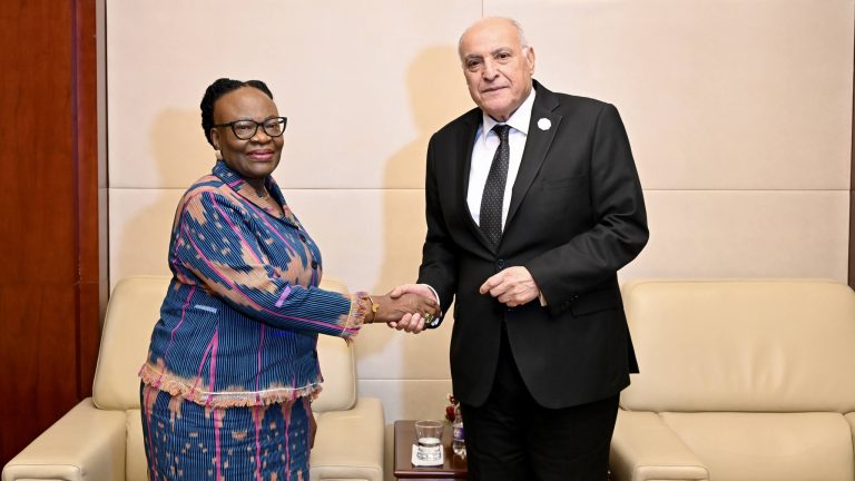 تعزيز التعاون بين الجزائر وناميبيا خلال أعمال المجلس التنفيذي للاتحاد الإفريقي