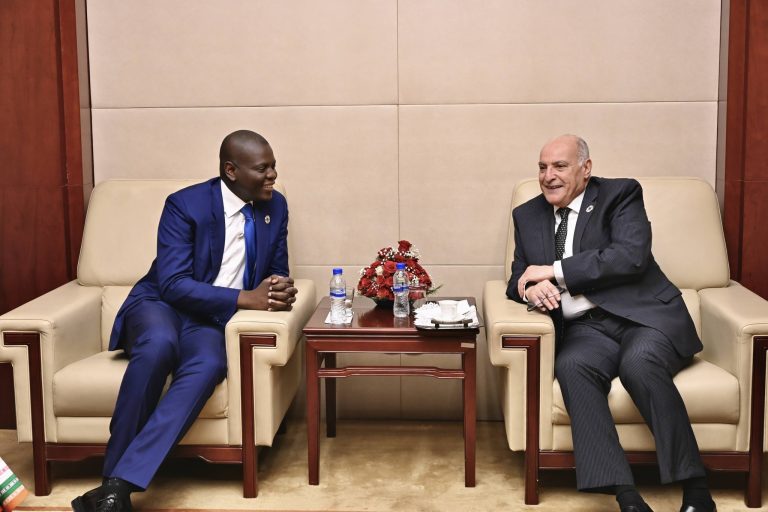 محادثات جزائرية جنوب إفريقية لتعزيز التنسيق القاري وتطوير الشراكة الثنائية