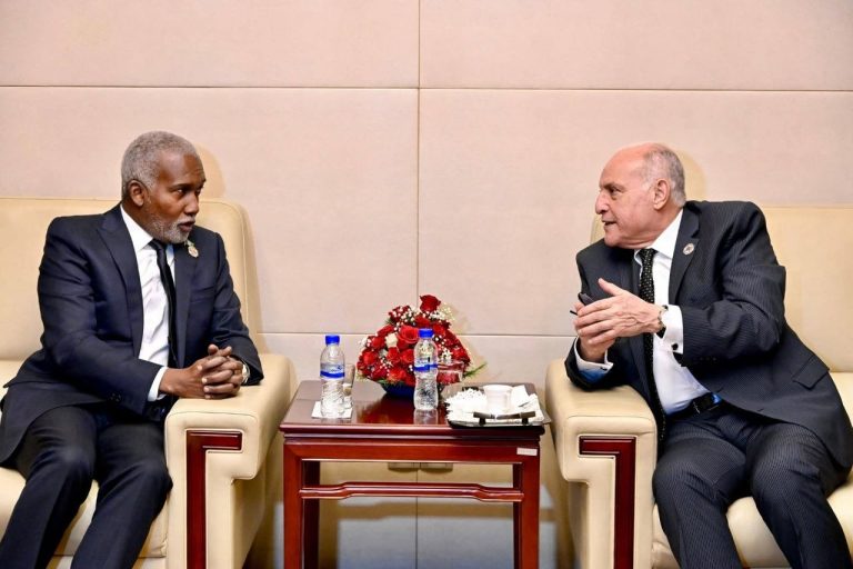 أديس أبابا – وزير الدولة أحمد عطاف يجري محادثات ثنائية مع وزير خارجية نيجيريا الاتحادية