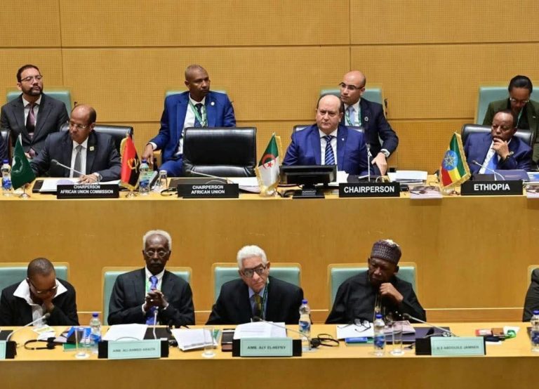 الوزير الأول يترأس قمة رؤساء دول وحكومات الآلية الإفريقية للتقييم من قبل النظراء ممثلاً لرئيس الجمهورية في أديس أبابا