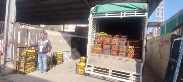 مديرية التجارة ببجاية تعلن دخول كميات معتبرة من الخضر والفواكه واستقرار الأسعار