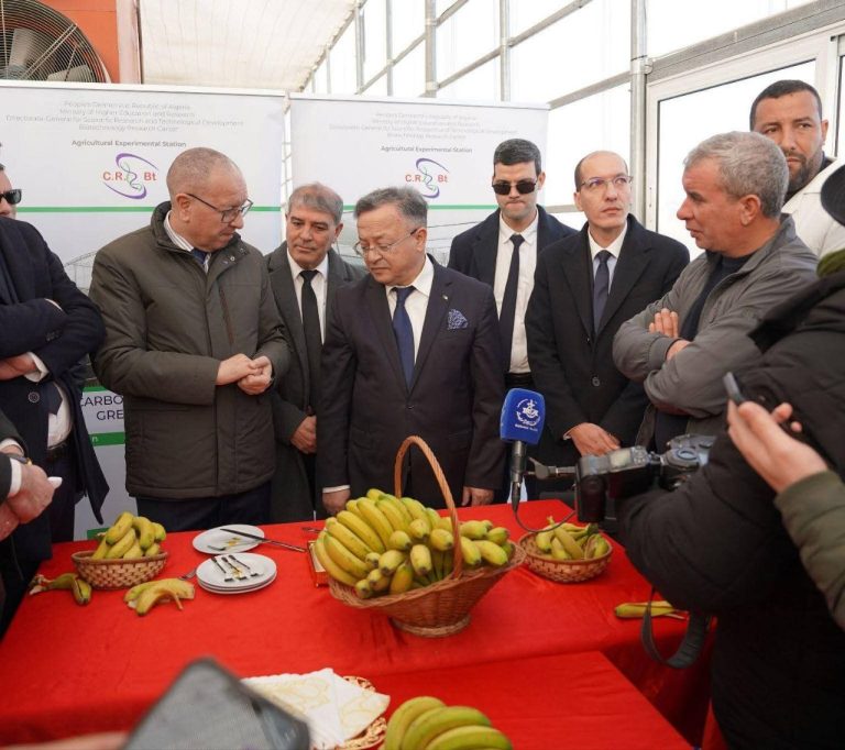 وزير التعليم العالي يزور المحطة الفلاحية البيوتكنولوجية بالمدينة الجامعية قسنطينة