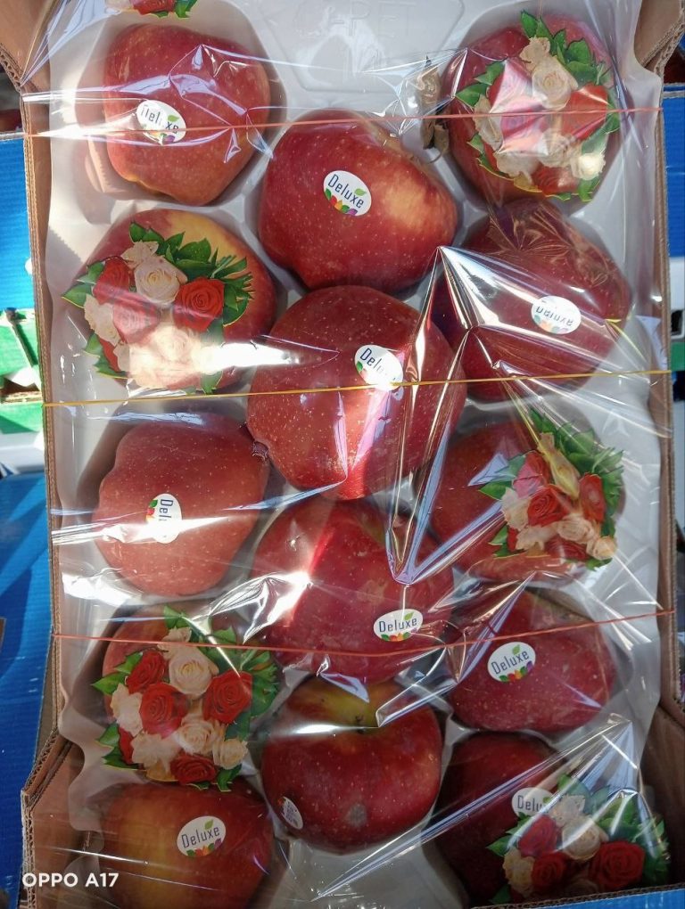 وفرة وتنوع في المنتجات الفلاحية بسوق الجملة للخضر والفواكه بالحطاطبة في تيبازة