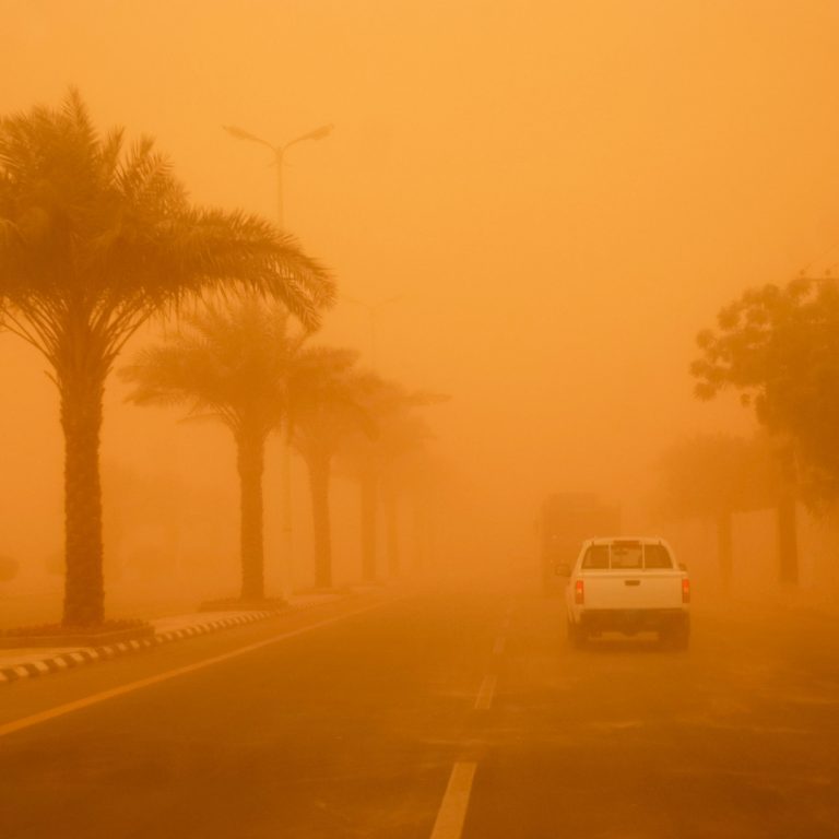 الأرصاد الجوية تحذر من رياح قوية وزوابع رملية بعدة ولايات جنوبية