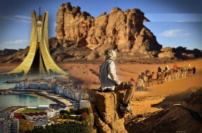 الديوان الوطني للسياحة يشارك في BIT Milan 2026