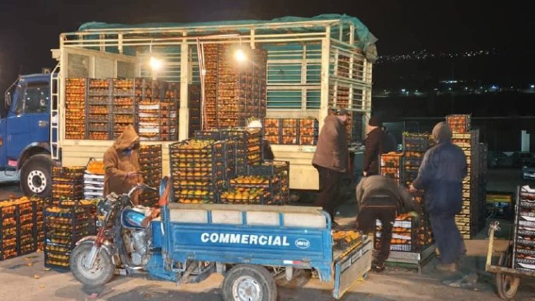 تدفق معتبر للمنتجات الفلاحية بسوق الجملة لماقرو بوادي العثمانية بميلة