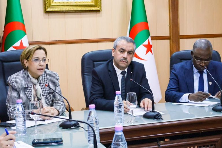 وزيرة البيئة وجودة الحياة تترأس الاجتماع التنسيقي لانطلاق الطبعة الثانية لحملة جمع الكراريس المستعملة