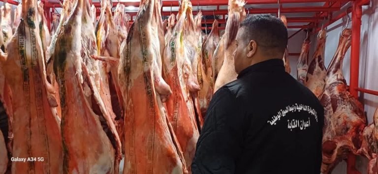 غرداية تستقبل شحنة جديدة من اللحوم الحمراء لتعزيز الإنتاج الوطني خلال رمضان