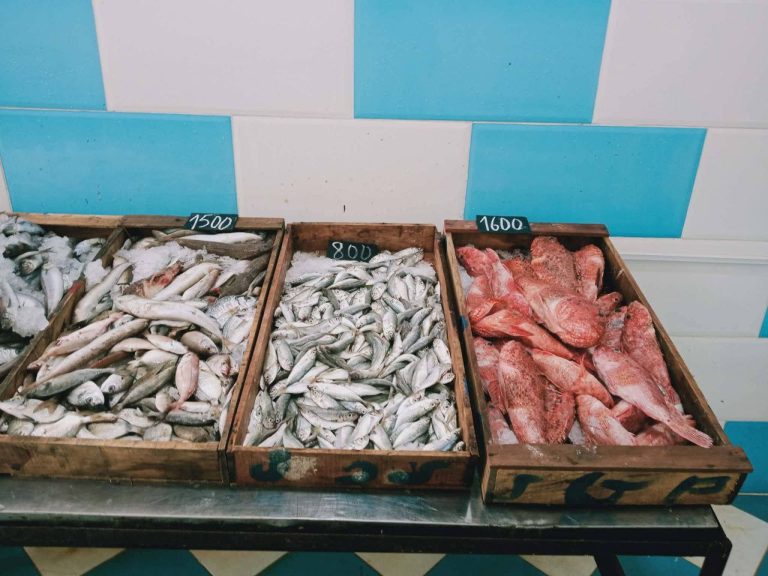 توفير منتجات الصيد البحري في عين تموشنت خلال أيام شهر رمضان