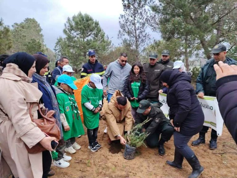 حملة تشجير بالطارف لتعزيز الوعي البيئي وحماية الغطاء الغابي