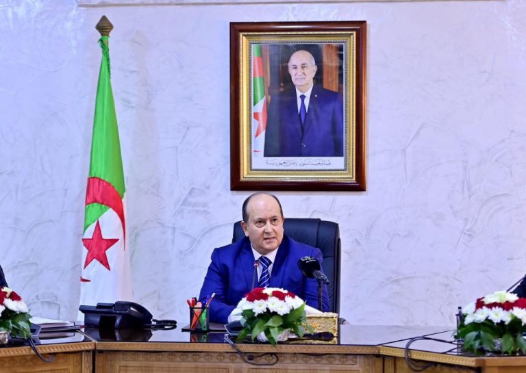 الوزير الأول يعقد اجتماعًا وزاريًا لتقييم الاستعدادات لاحتواء انتشار الجراد بالجنوب الغربي