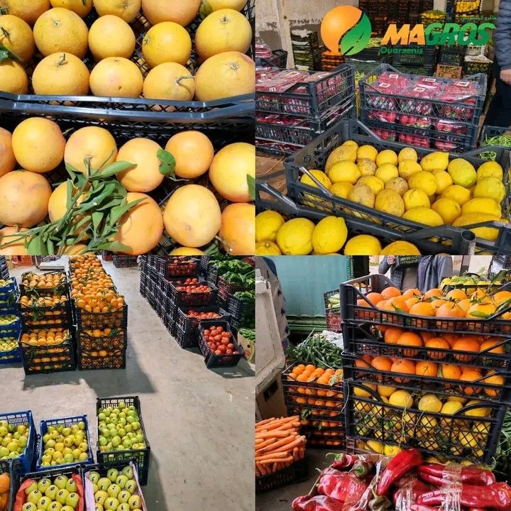 سوق الجملة “ماقرو الونشريس” ببوراشد يسجل وفرة في المنتجات وجودة في العرض