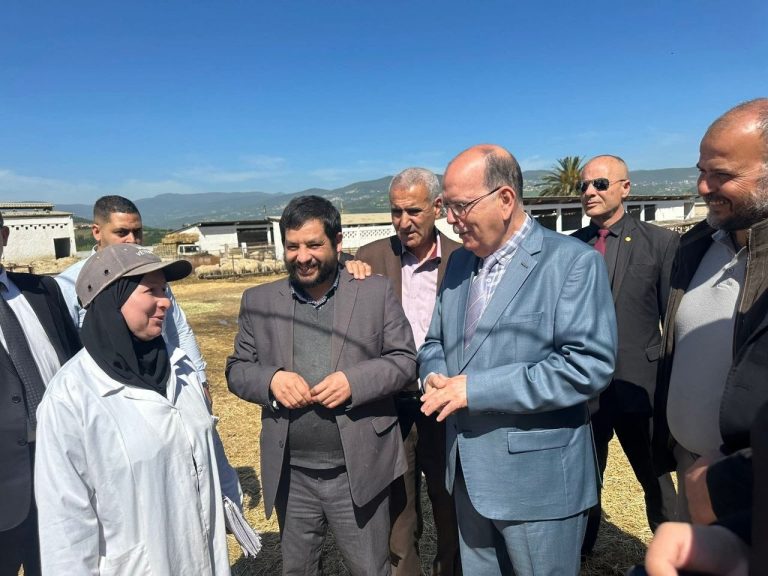 والي بجاية يعاين مركز الحجر الصحي للأضاحي المستوردة بأميزور تحسبًا لعيد الأضحى