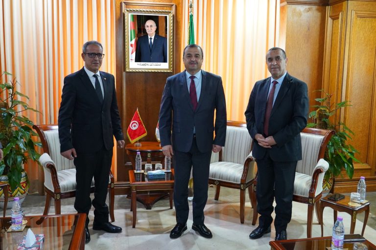 وزير المحروقات والطاقات المتجددة يستقبل رئيس المجلس الوطني للأقاليم والجهات التونسي