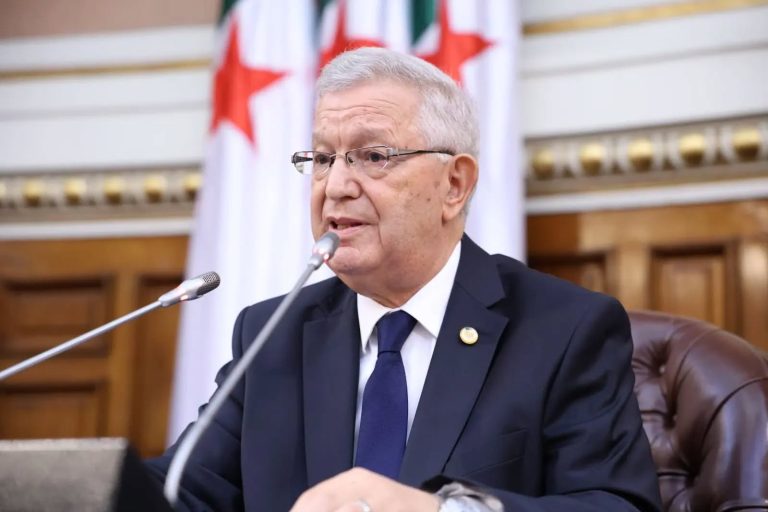 رئيس مجلس الأمة: إحياء يوم التوعية بخطر الألغام يذكر بمعاناة الجزائر وجهود الجيش في تطهيرها