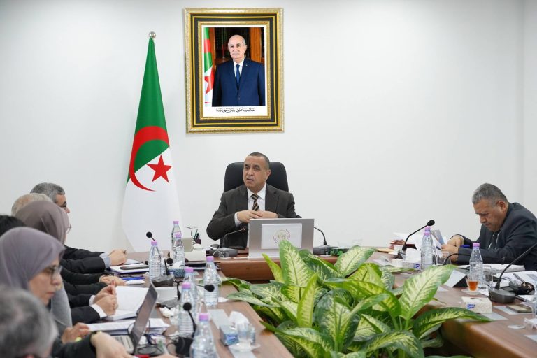 وزير الطاقة والطاقات المتجددة يرأس اجتماعًا لمتابعة تسيير نشاط القطاع