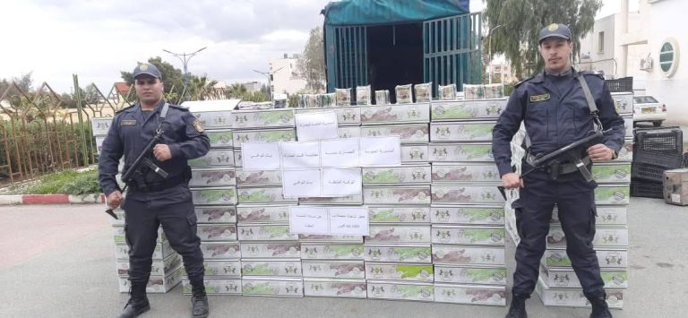 مديرية الجمارك بتبسة تحجز شمة وسجائر ومواد مدعمة وتوقف 3 أشخاص