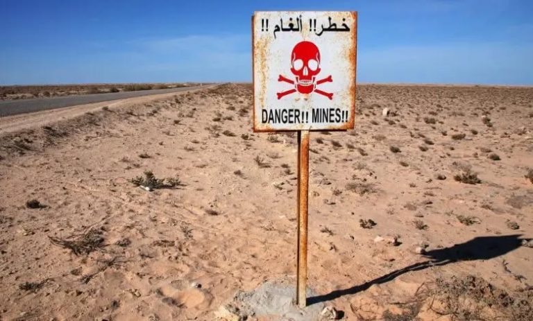 الوضع الإنساني في الصحراء الغربية يزداد خطورة بسبب الألغام ومخلفات النزاع والاحتلال المغربي
