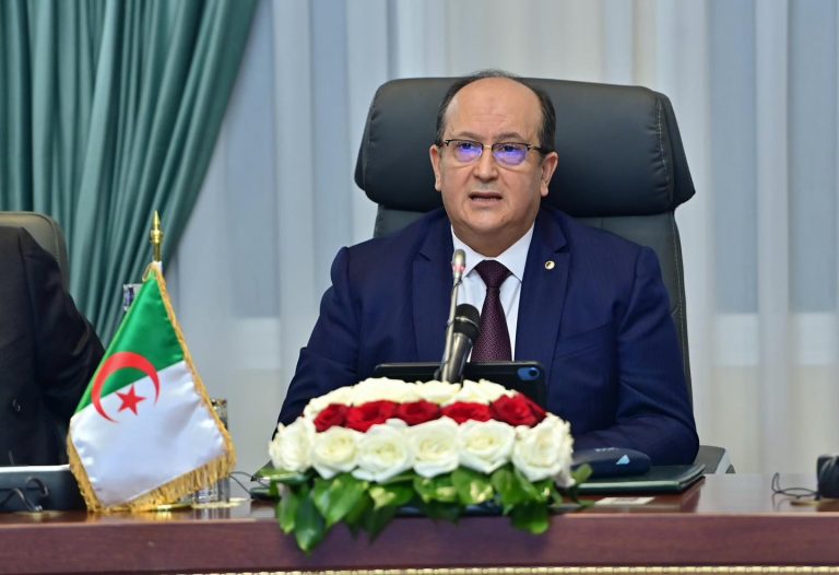 كلمة الوزير الأول، السيد #سيفي_غريب في افتتاح أشغال الدورة العشرين (20) للجنة المشتركة الكبرى الجزائرية-الموريتانية.