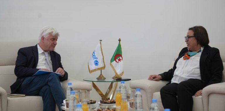 وزيرة التكوين المهني تستقبل وفد اليونيسف لبحث سبل تطوير التعاون في مجال تأهيل الشباب