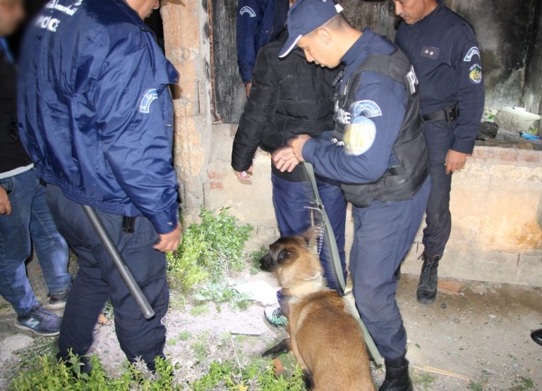 توقيف 35 شخصًا في عمليات أمنية نوعية بأمن دائرة الذرعان بولاية الطارف