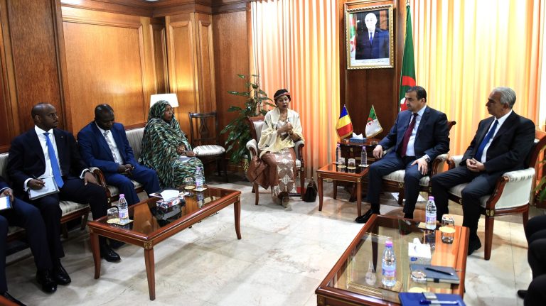 الجزائر وتشاد تبحثان توسيع التعاون الطاقوي والمنجمي وترقية الشراكة الاستراتيجية