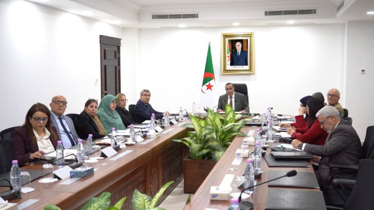 وزير الطاقة والطاقات المتجددة مراد عجال يشارك في المنتدى الإفريقي للتنمية المستدامة بأديس أبابا