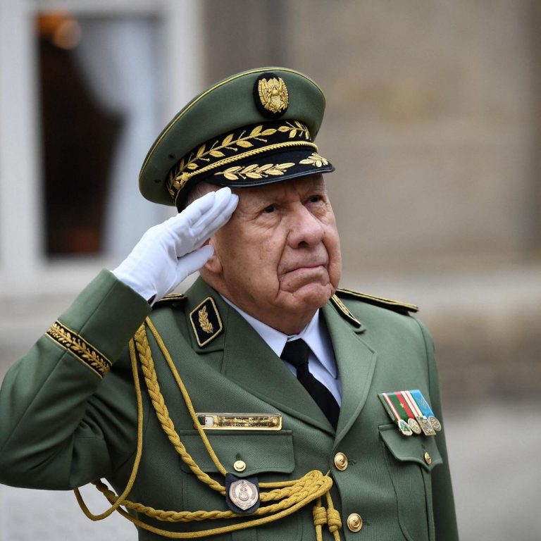 الفريق أول السعيد شنقريحة يستقبل قائد القيادة الأمريكية لإفريقيا “أفريكوم”