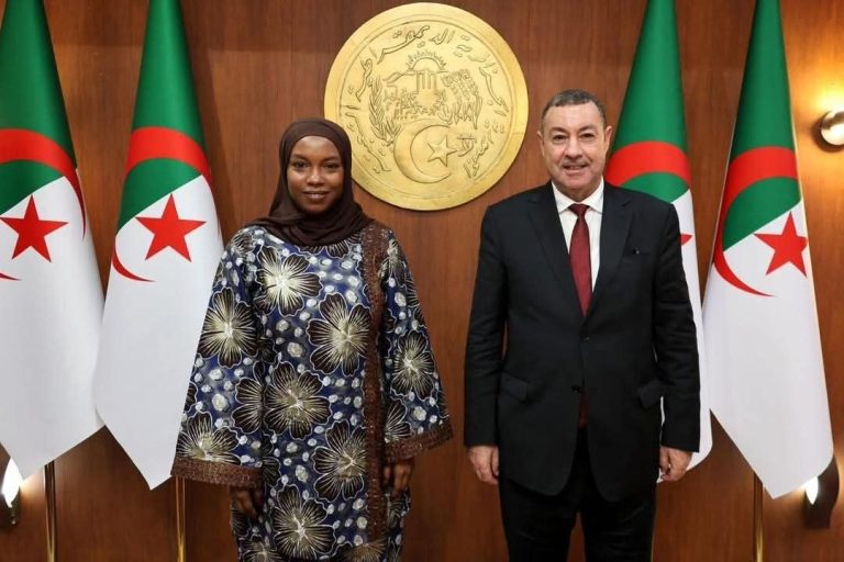 محادثات جزائرية–تشادية لتعزيز التعاون في قطاع النقل وتطوير الشحن الجوي والبحري