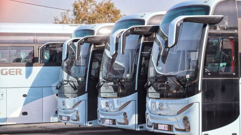 تعزيز أسطول مؤسسة إيتوزا بحافلات جديدة لتحسين النقل الحضري