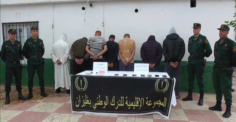 الدرك الوطني بغليزان يوقف نشاط شبكة إجرامية تنشط في مجال سرقة المواشي مع إسترجاع جميع رؤوس الماشية المسروقة