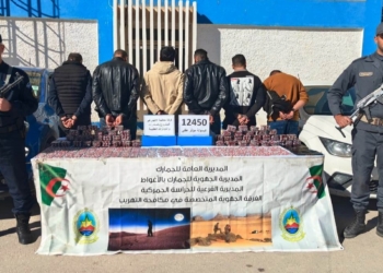 جمارك الشلف تحجز أكثر من 36 كلغ من الكيف المعالج وتوقف شخصًا