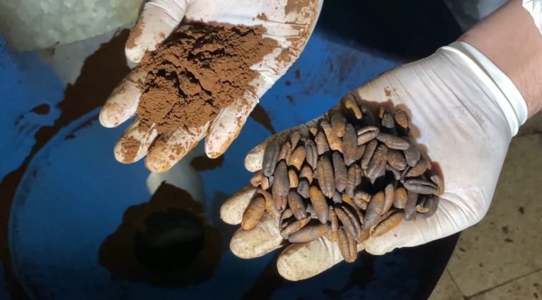 الدرك الوطني بالمدية يفكك ورشة سرية للقهوة المغشوشة