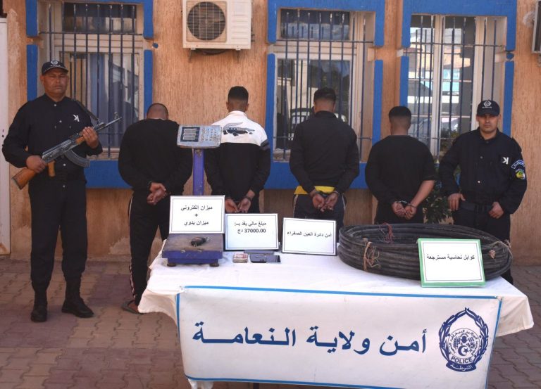 شرطة_النعامة تطيح بشبكة #إجرامية مختصة في سرقة الكوابل النحاسية بعين الصفراء
