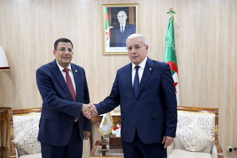 إبراهيم_بوغالي يستقبل رئيس البرلمان_الإفريقي فاتح_بوطبيق لبحث سبل تعزيز التعاون البرلماني داخل القارة الإفريقية