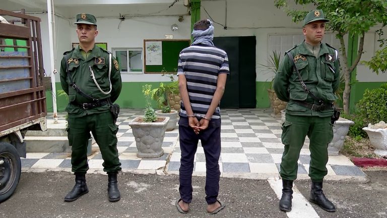 إحباط محاولة تهريب 15 رأس غنم وتوقيف 3 أشخاص بتبسة