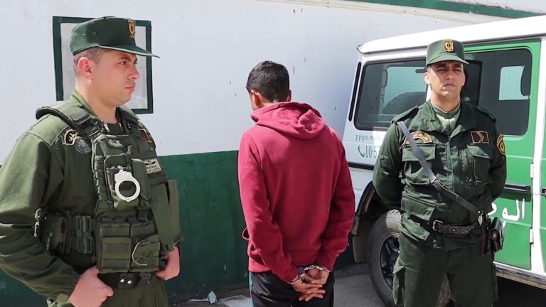 إحباط عملية سرقة مواشي وتوقيف مشتبه فيه ببومرداس