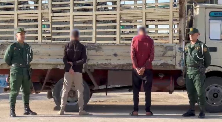 توقيف شخصين كانا يعيدان بيع الأغنام المسروقة بأسواق الماشية
