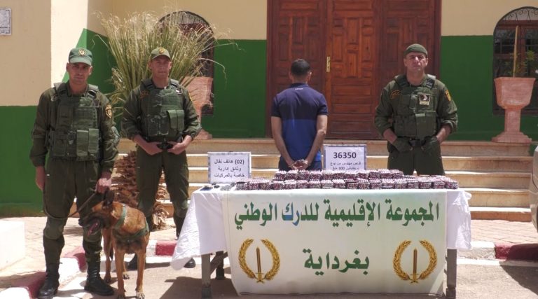 الدرك_الوطني_بغرداية يحجز 36350 قرصاً مهلوساً على متن سيارة إسعاف ويوقف متورطين في عملية تهريب خطيرة