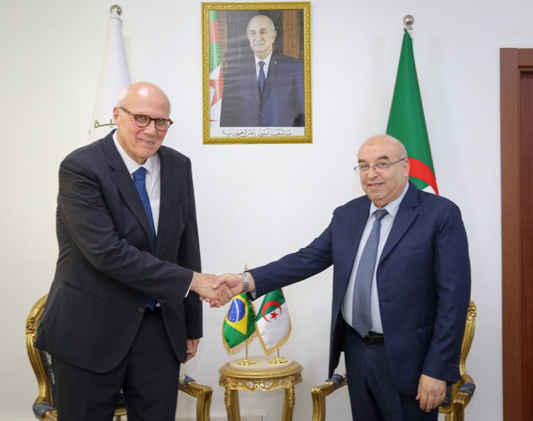 تعزيز التعاون الصيدلاني بين الجزائر والبرازيل في لقاء رسمي بين وزير الصناعة الصيدلانية وسفير البرازيل