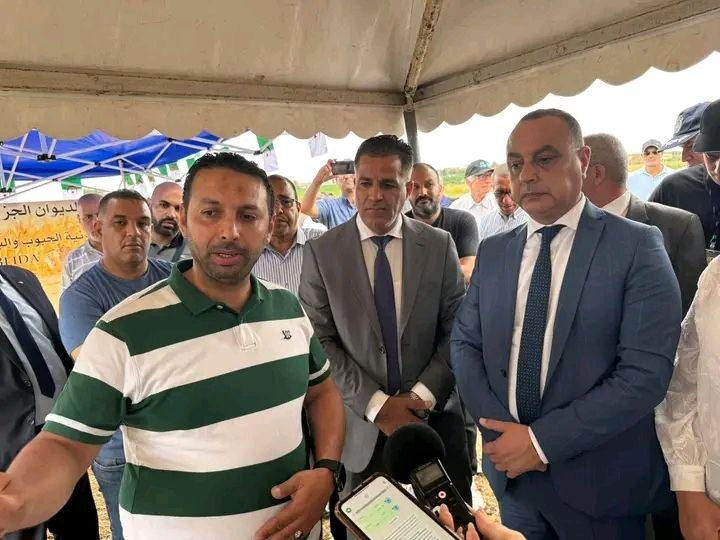 سيدي_أعمر والي الولاية يشرف على انطلاق حملة الحصاد والدرس لموسم 2025-2026 وإنتاج متوقع يفوق 188 ألف قنطار