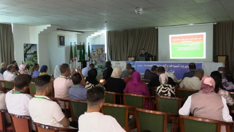 رفع كفاءة الرقابة وتحسين جودة الخدمات السياحية استعدادًا للصيف