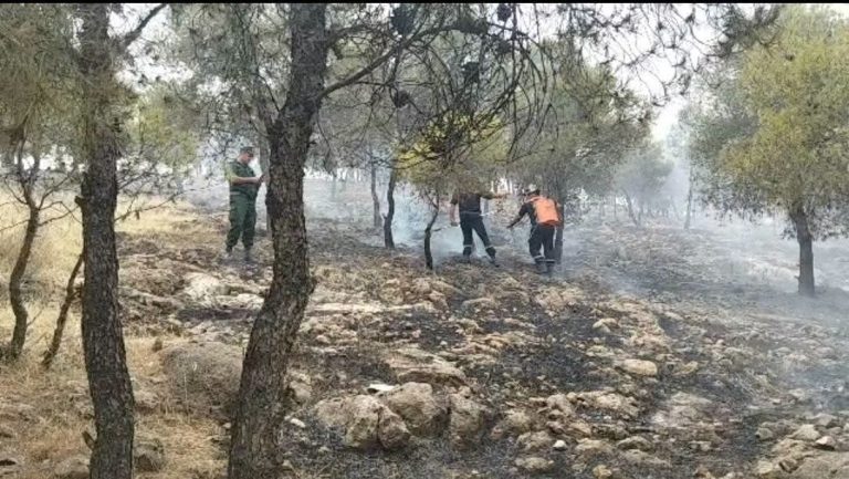 أم البواقي: إخماد حريق غابة بوزابين بعد تدخل سريع للحماية المدنية