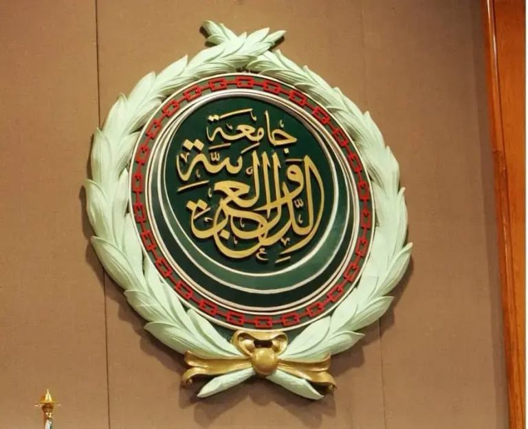 جامعة الدول العربية تعزي في ضحايا حريق مؤسسة الطفولة المسعفة بالمحمدية