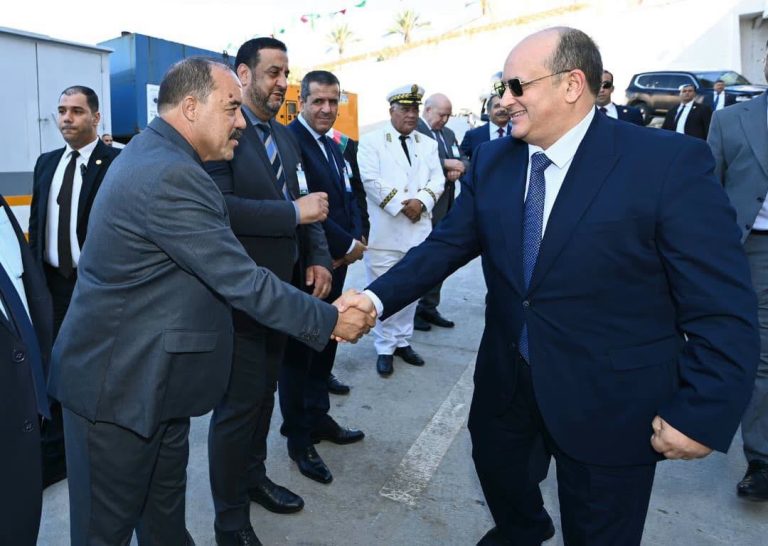الوزير الأول يشرف على مراسم وضع مصنع إنتاج صفائح الفرامل وملحقاتها بالرغاية حيز الخدمة