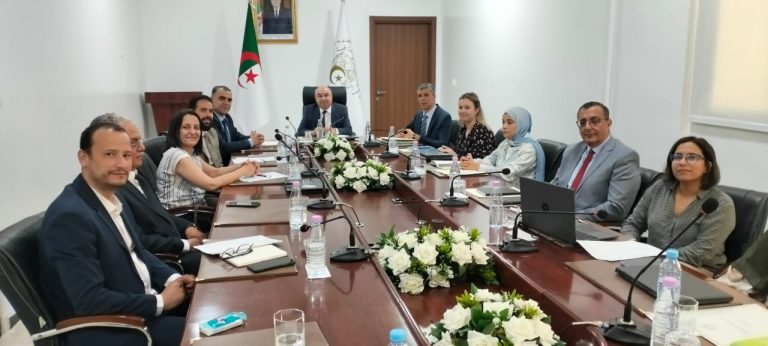 وزير الصناعة الصيدلانية يستقبل ممثلي الصيادلة الخواص لبحث تموين السوق بالأدوية
