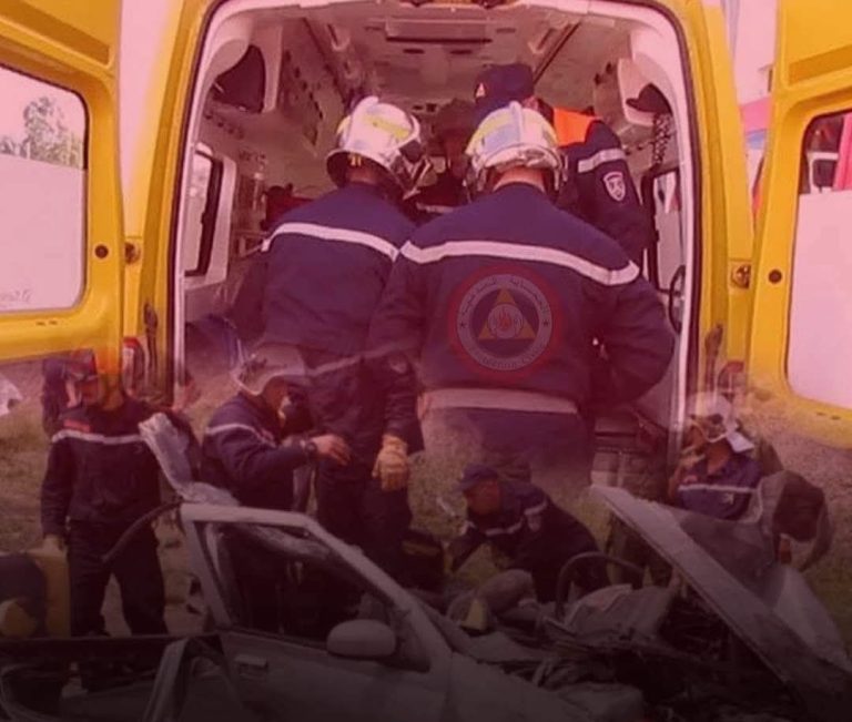 حرائق الغطاء النباتي: إخماد 23 حريقاً وتواصل 14 بسبع ولايات