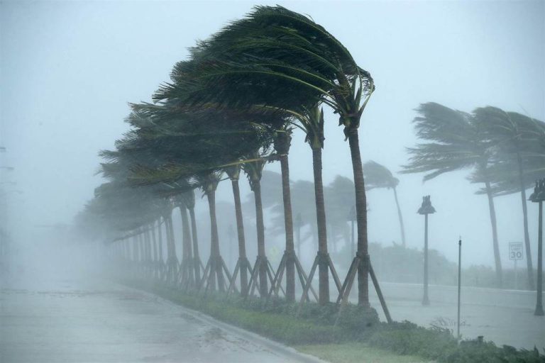 رياح قوية مصحوبة بتطاير للرمال في عدة ولايات من الوطن